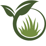 Perennial Transplanting